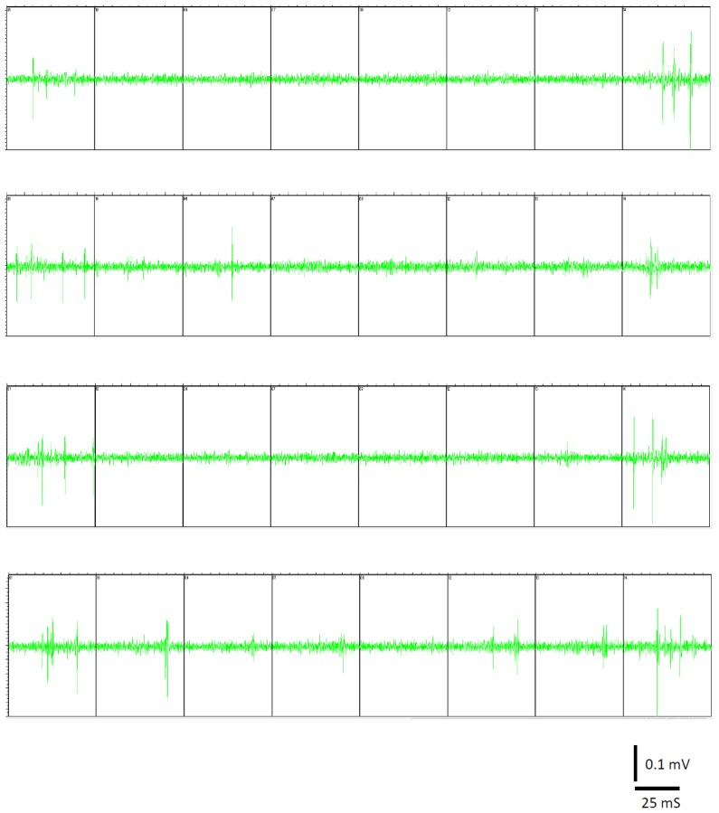 Figure 1—figure supplement 1.