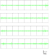 Figure 1—figure supplement 1.