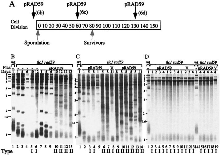 FIG. 6