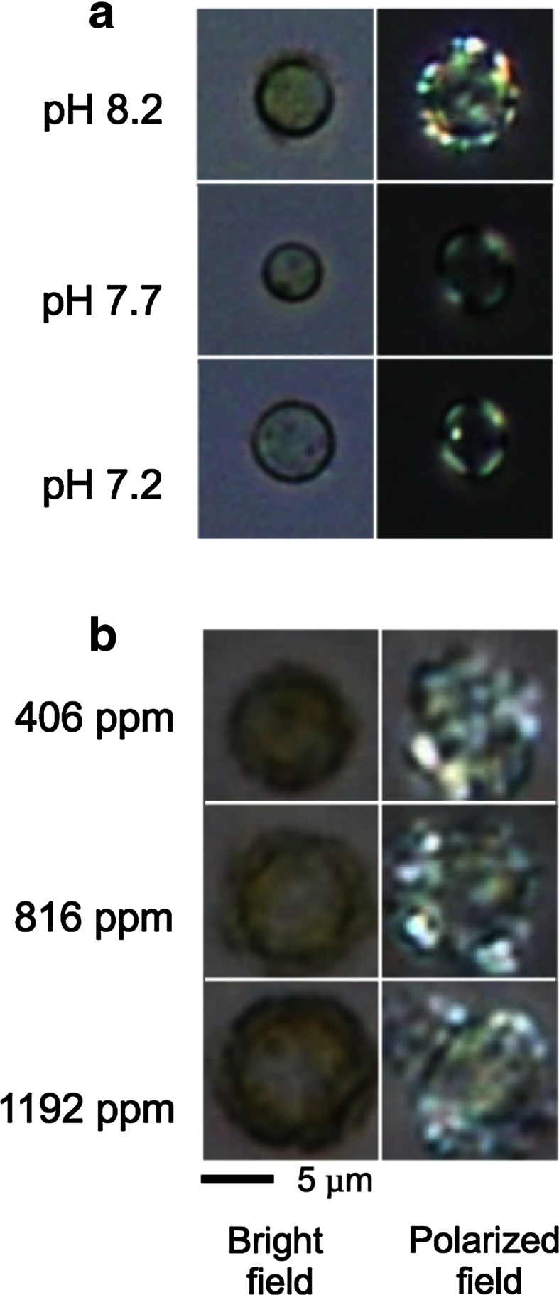 Fig. 4