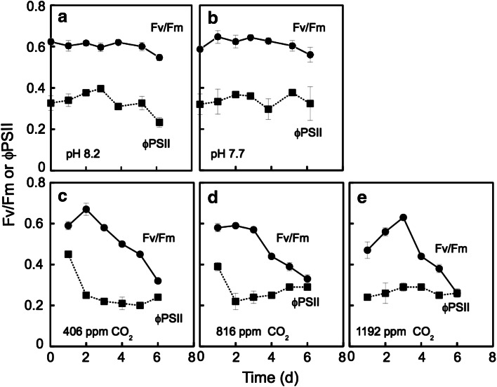 Fig. 3