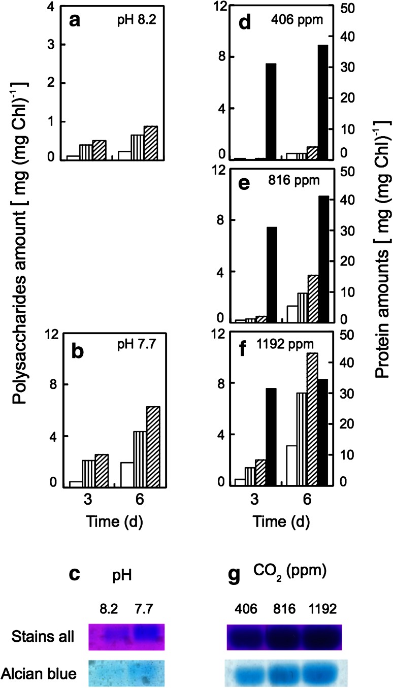 Fig. 7