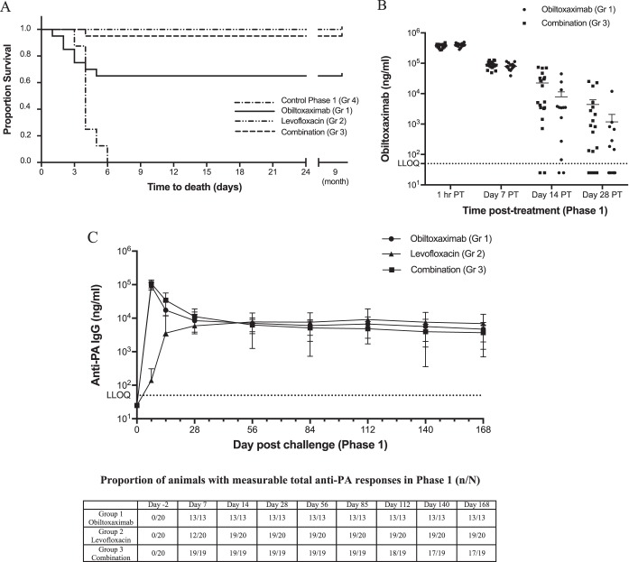 FIG 1