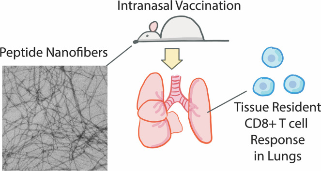 Unlabelled Image