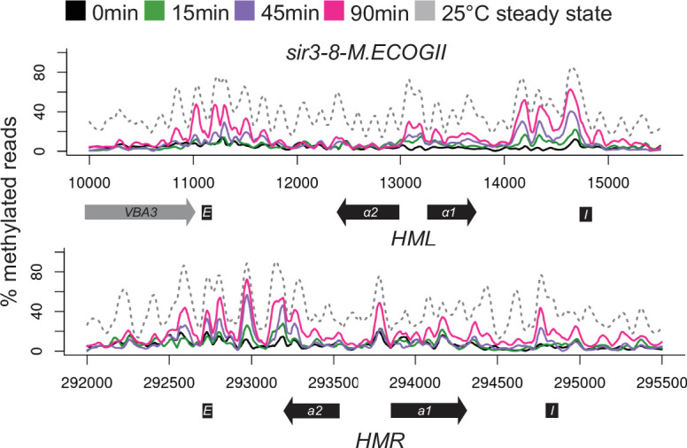 Figure 4—figure supplement 2.