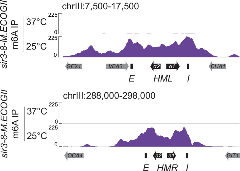 Figure 4—figure supplement 1.