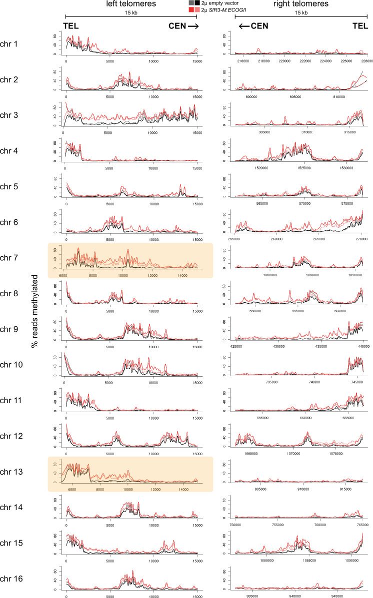 Figure 3—figure supplement 2.