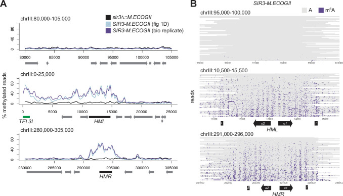 Figure 1—figure supplement 2.