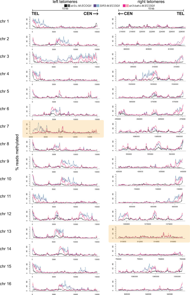 Figure 2—figure supplement 2.