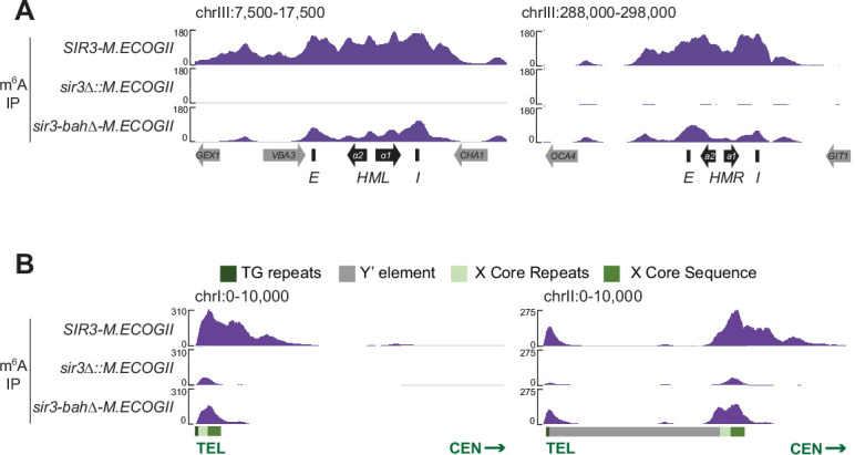 Figure 2—figure supplement 1.