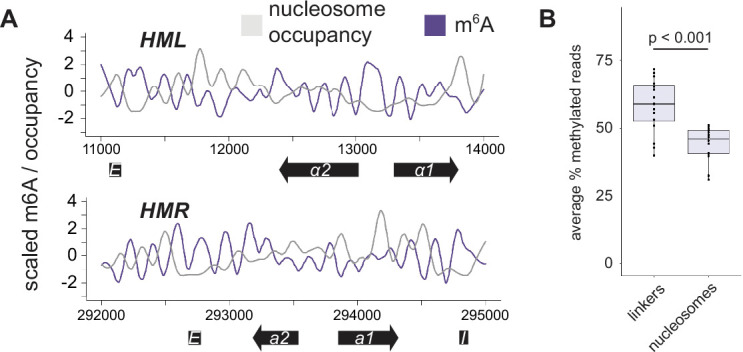 Figure 1—figure supplement 3.