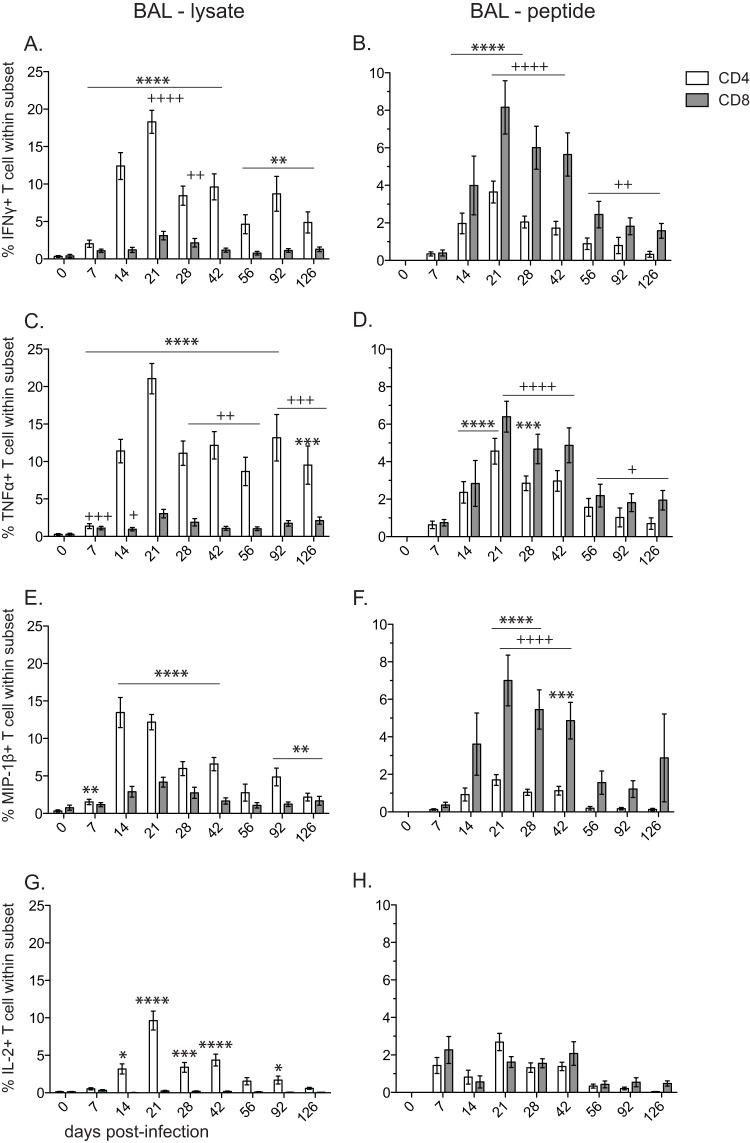 FIG 6