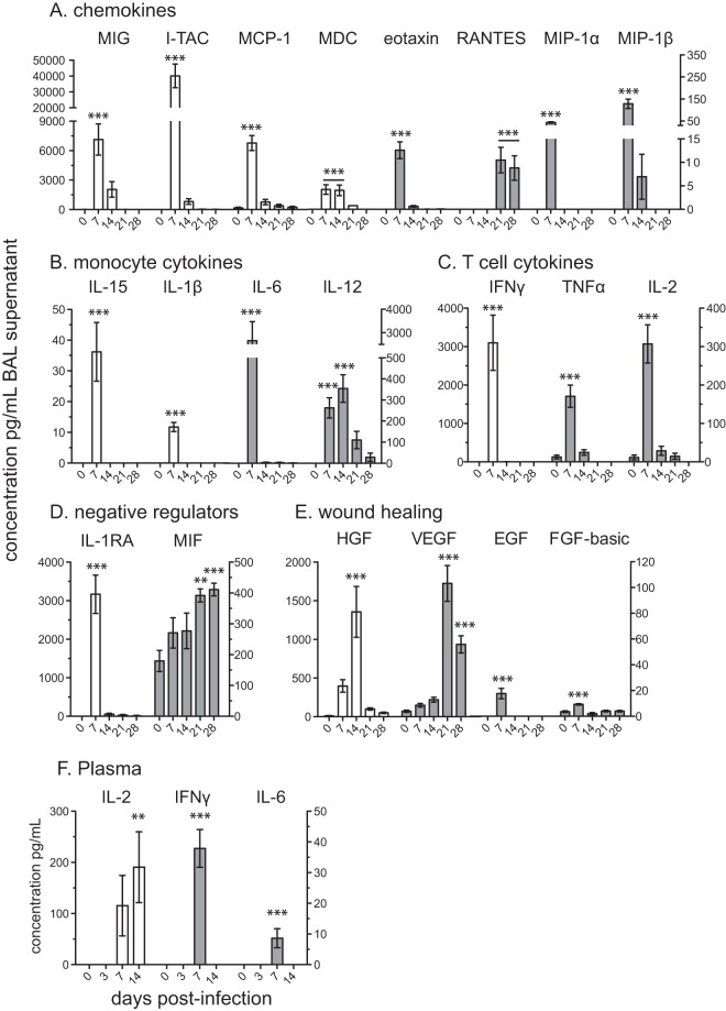 FIG 2