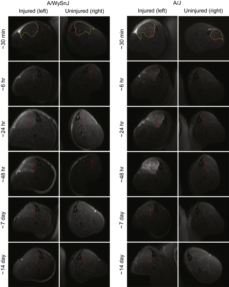 Figure 2