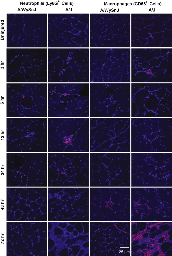 Figure 7