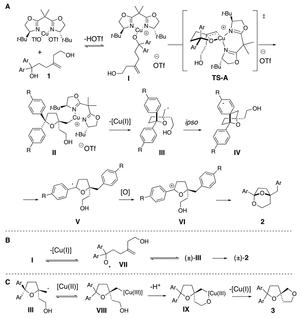 Scheme 4.