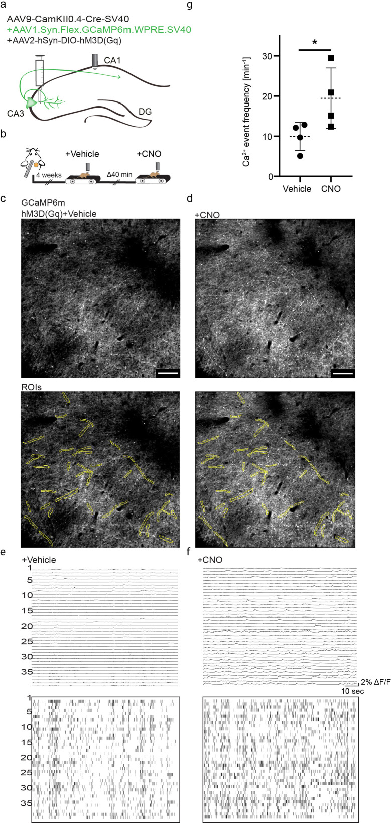 Figure 2—figure supplement 2.