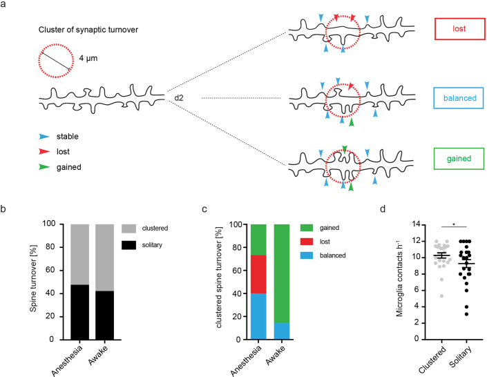 Figure 3—figure supplement 1.