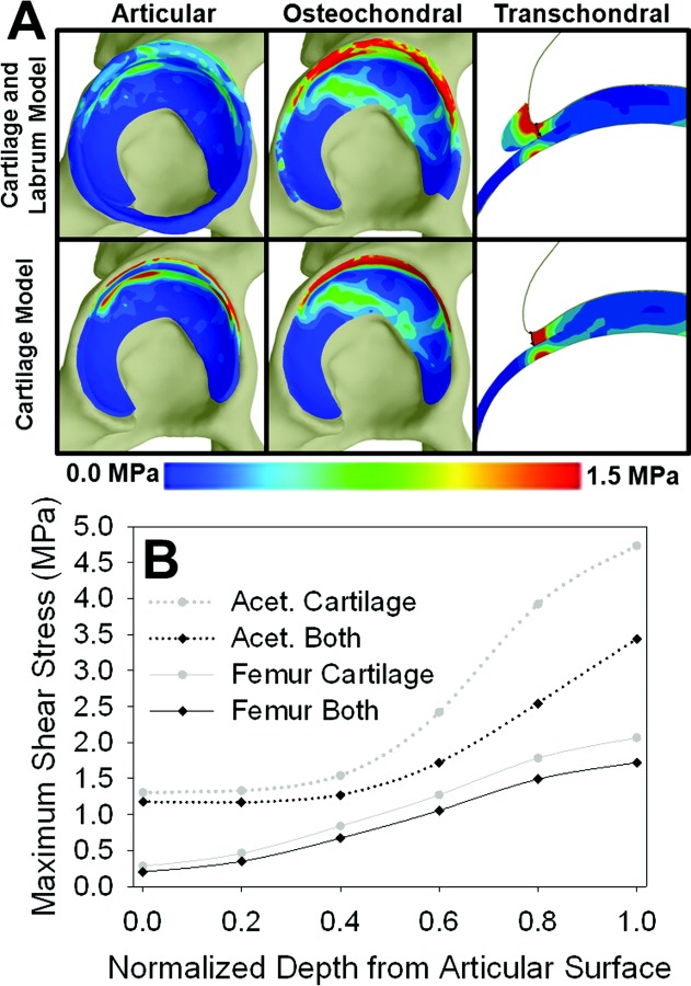 Fig. 8