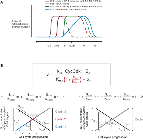 Figure 7