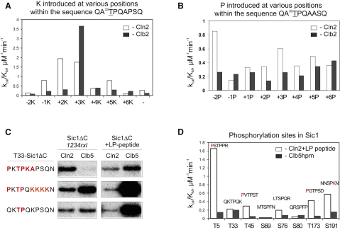 Figure 4