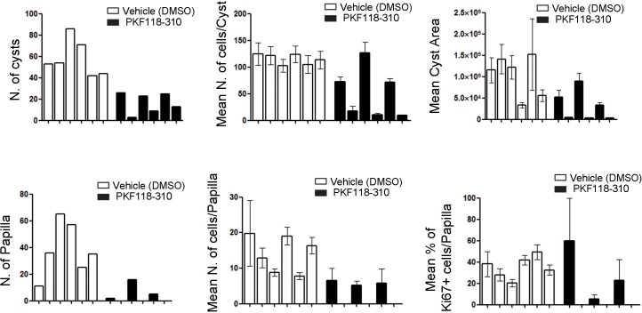 Figure 6—figure supplement 1.