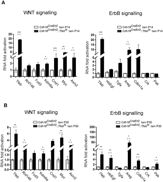 Figure 3—figure supplement 1.