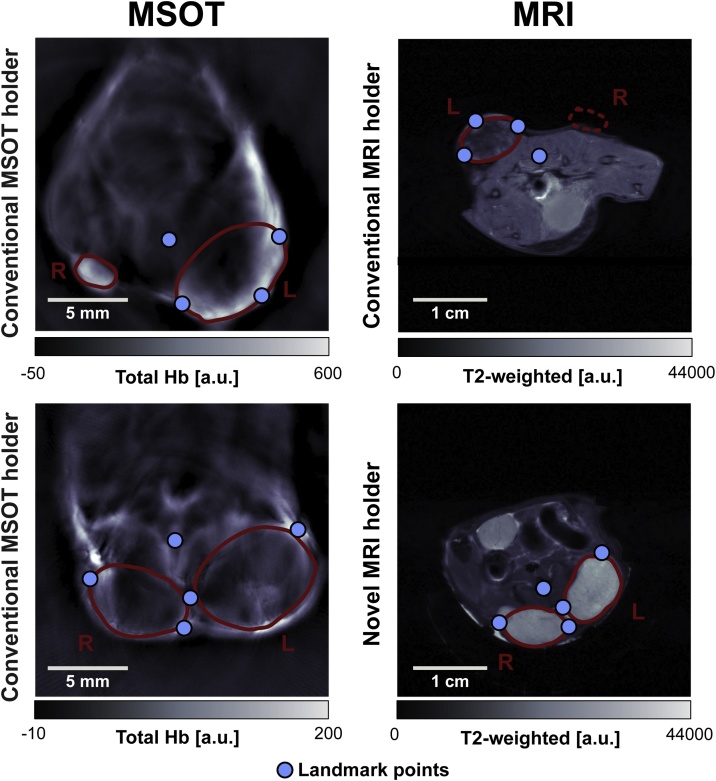 Fig. 3