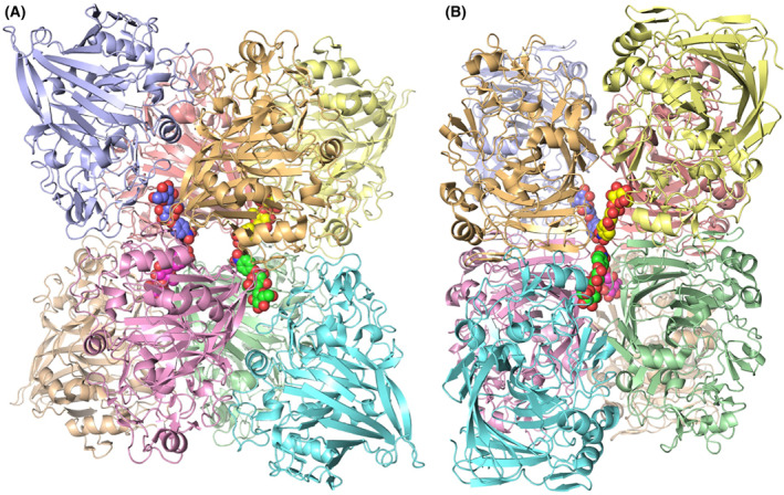 Fig. 9