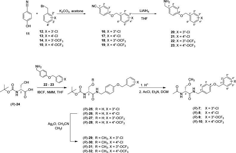 Scheme 1