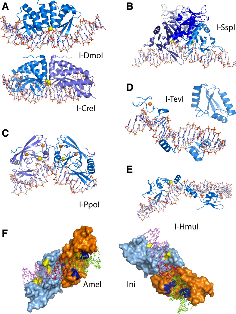 Fig. 2