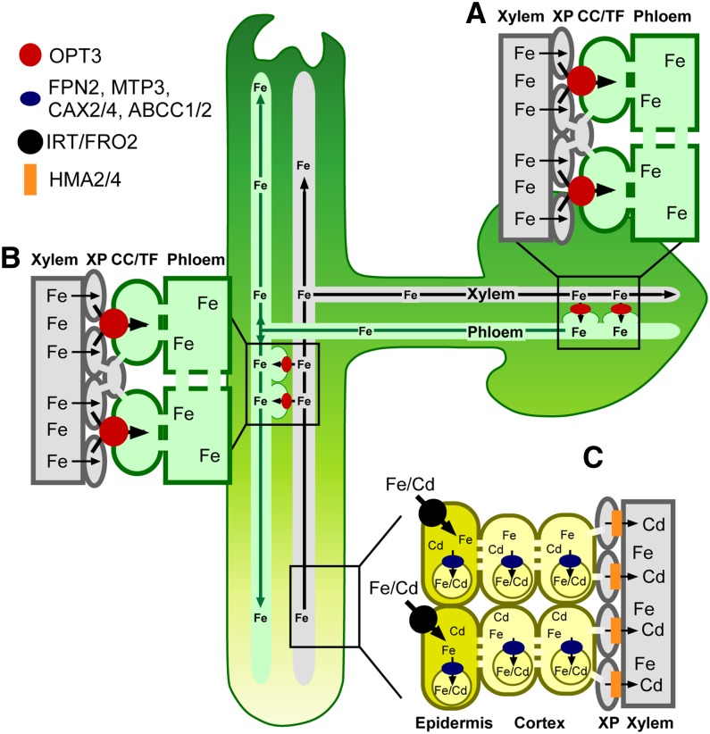 Figure 10.