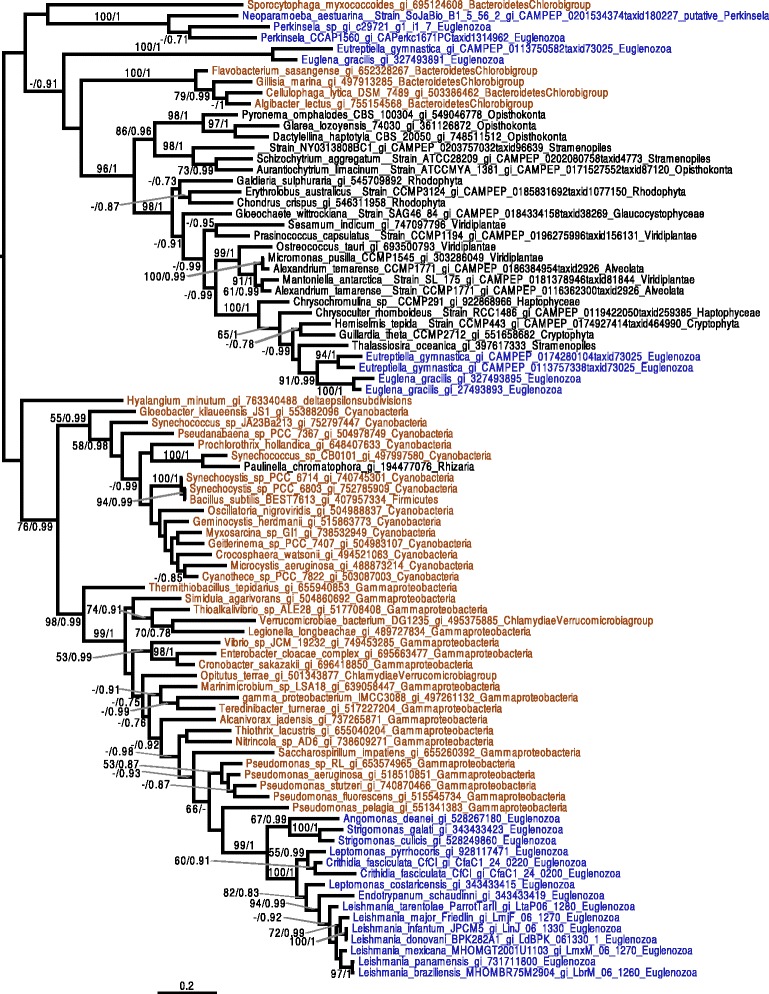 Fig. 7