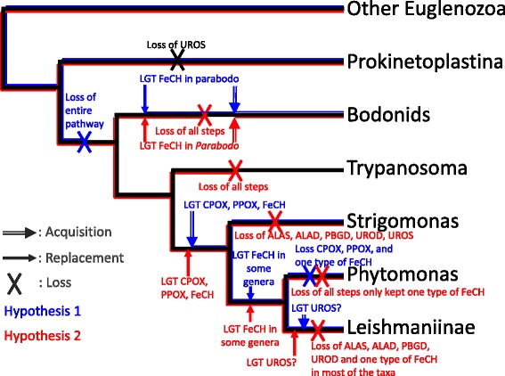 Fig. 9