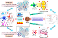 Graphical Abstract