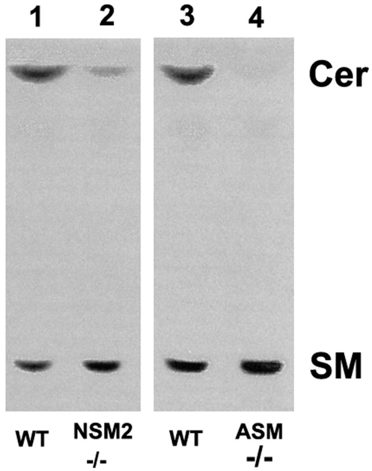 Fig.4