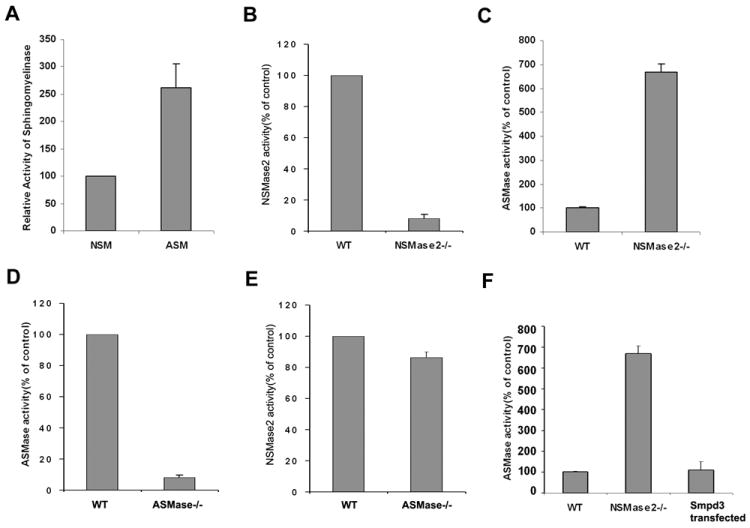 Fig.1