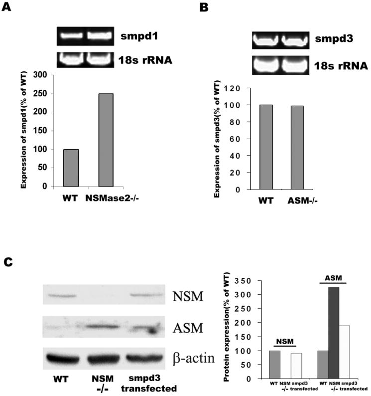 Fig.2