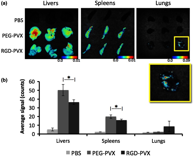 Figure 6