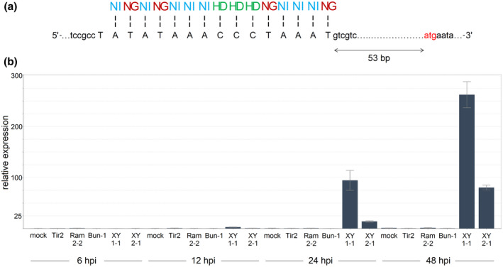 FIGURE 3