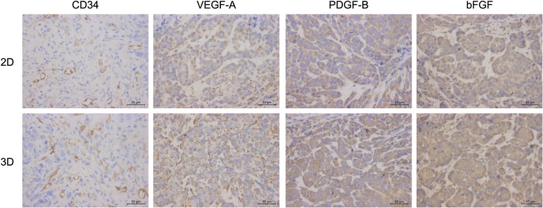 Fig. 12