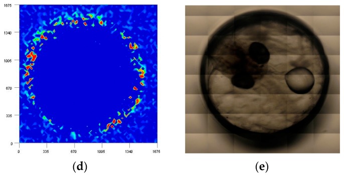 Figure 10