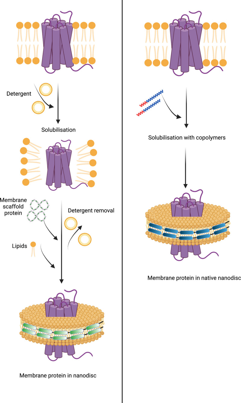 Figure 3.