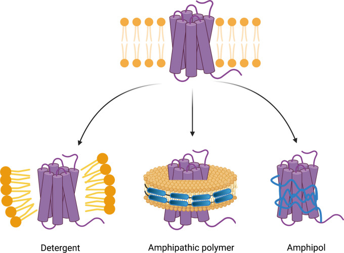 Figure 1.