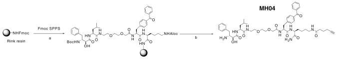 Scheme 2