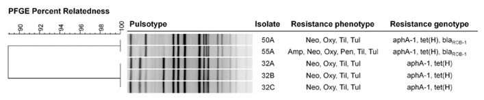 FIGURE 1