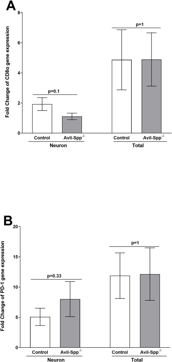 Fig 5