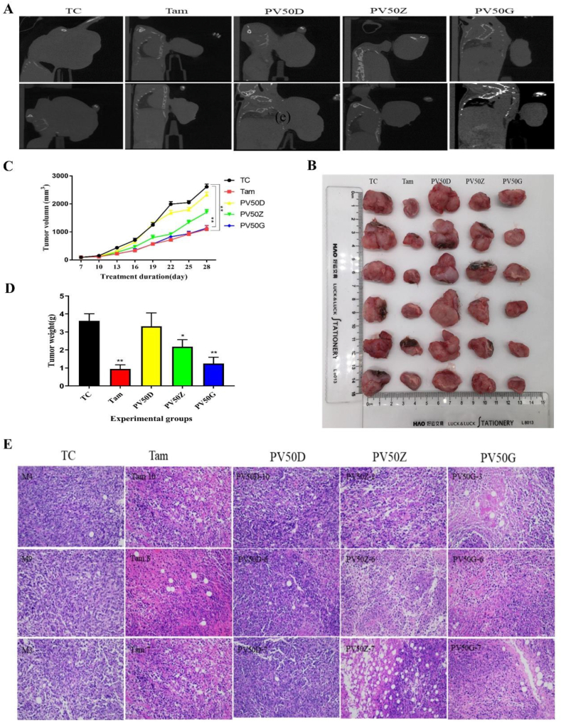 Figure 6