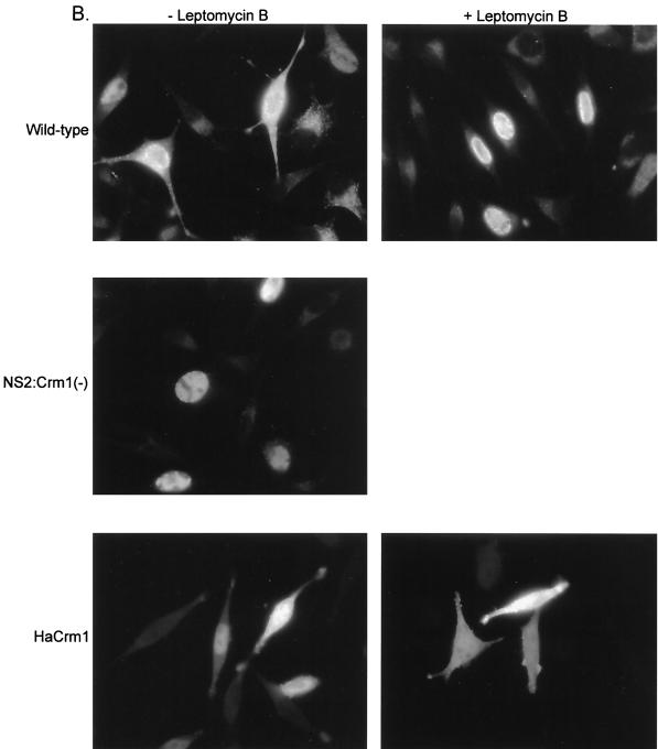 FIG. 5.