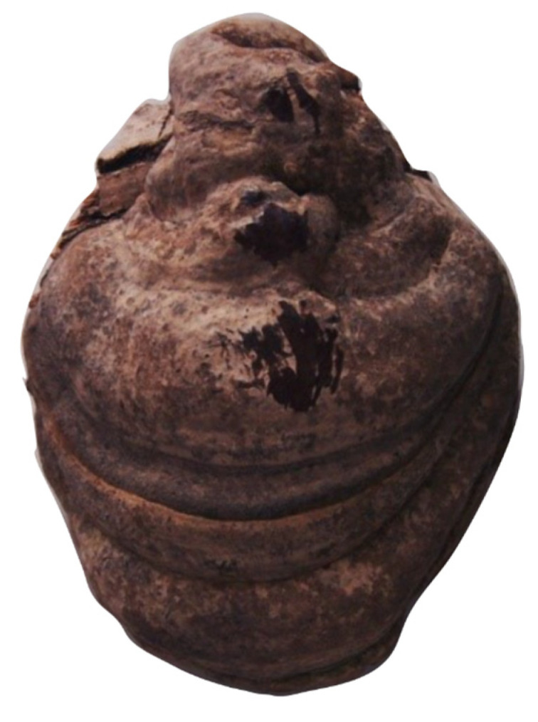 Figure 5
